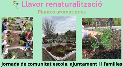 Aromàtiques_Mare de Déu de l'Horta